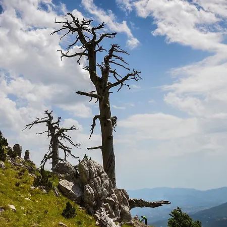 La Sentinella Bed & Breakfast 3*